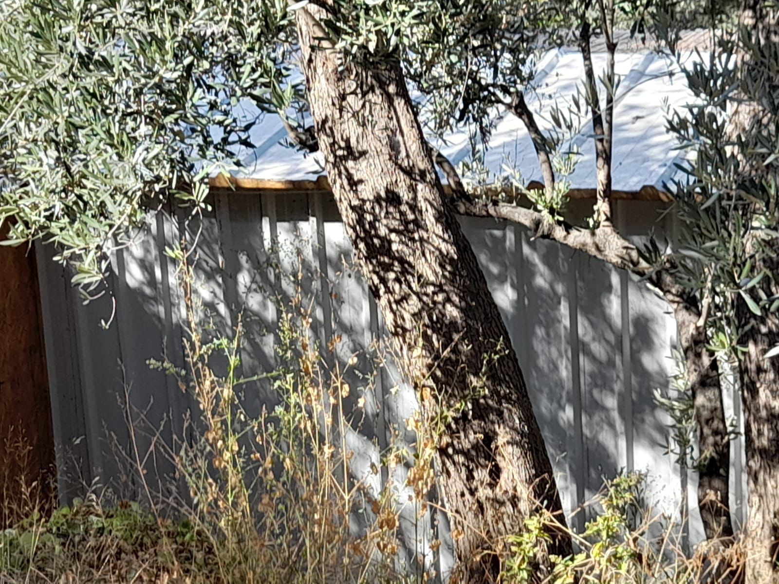 Rensa Gayrimenkul’den Balıkesir Edincik’te 2290 m2 Zeytinlik Arsa Satılık