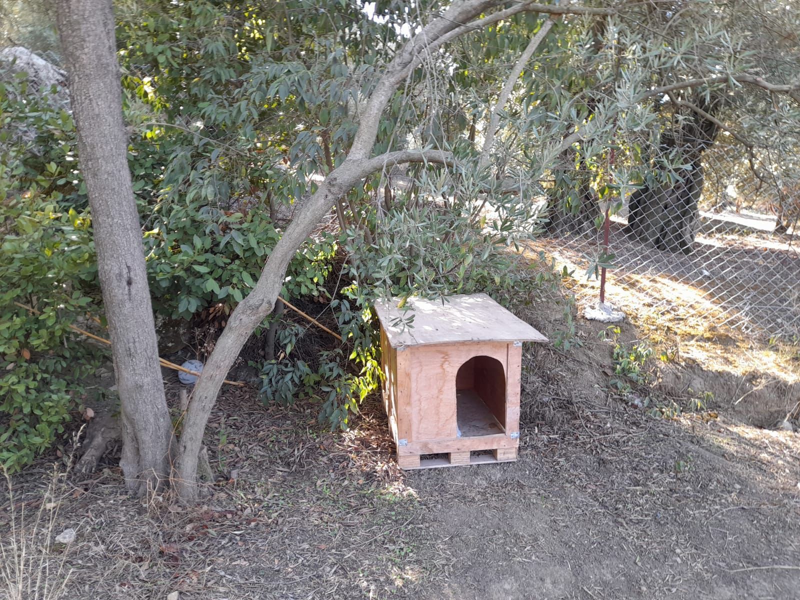 Rensa Gayrimenkul’den Balıkesir Edincik’te 2290 m2 Zeytinlik Arsa Satılık