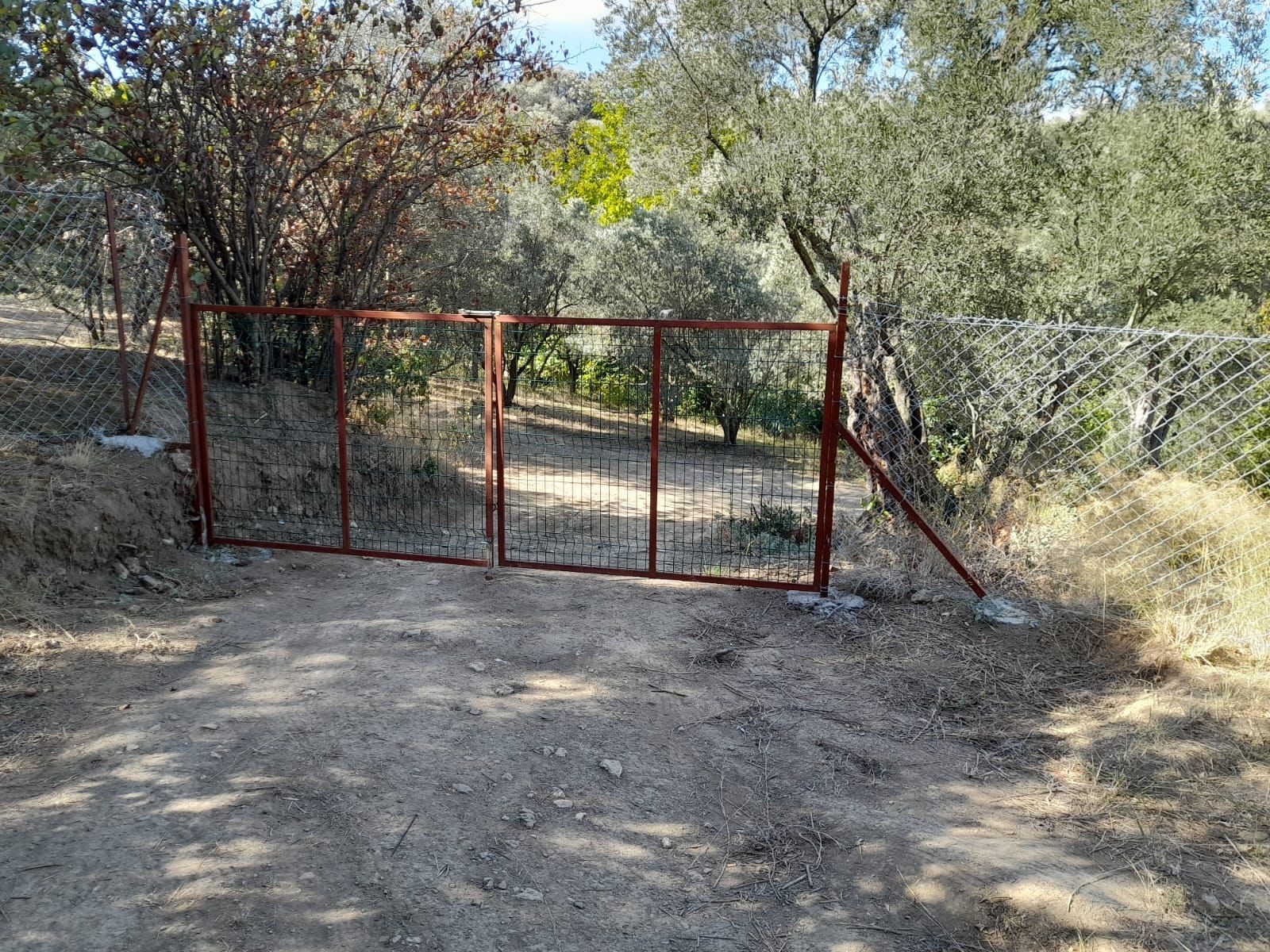 Rensa Gayrimenkul’den Balıkesir Edincik’te 2290 m2 Zeytinlik Arsa Satılık