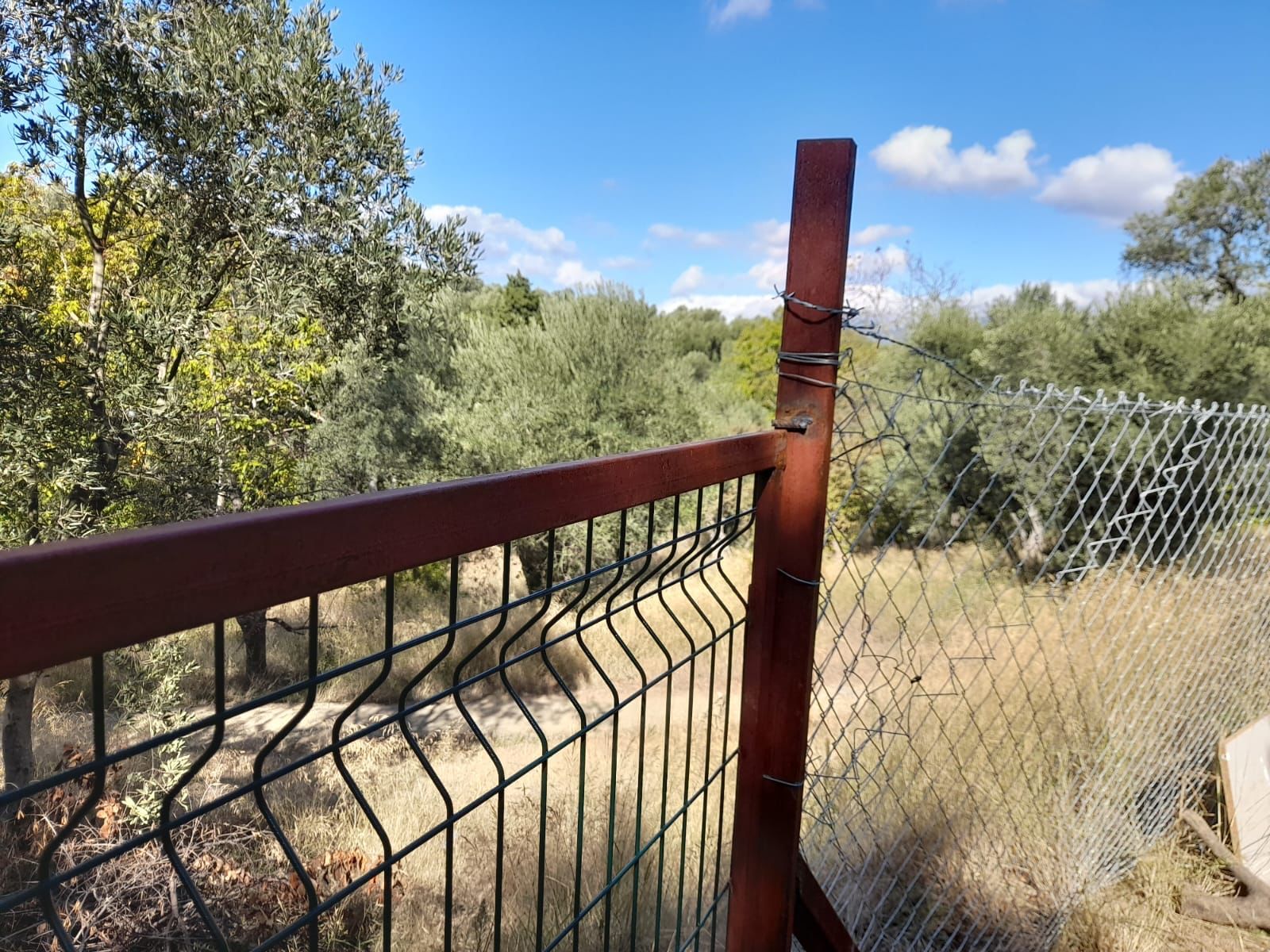 Rensa Gayrimenkul’den Balıkesir Edincik’te 2290 m2 Zeytinlik Arsa Satılık