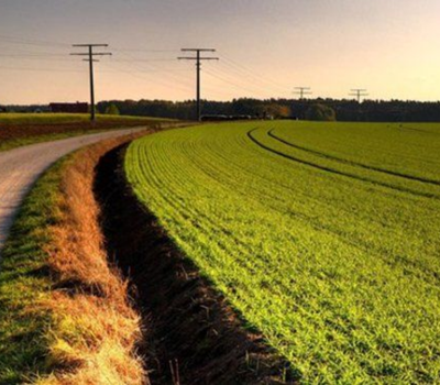 Arsa ile tarla arasındaki fark