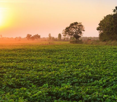 Arsa ve arazi arasındaki fark nedir ?